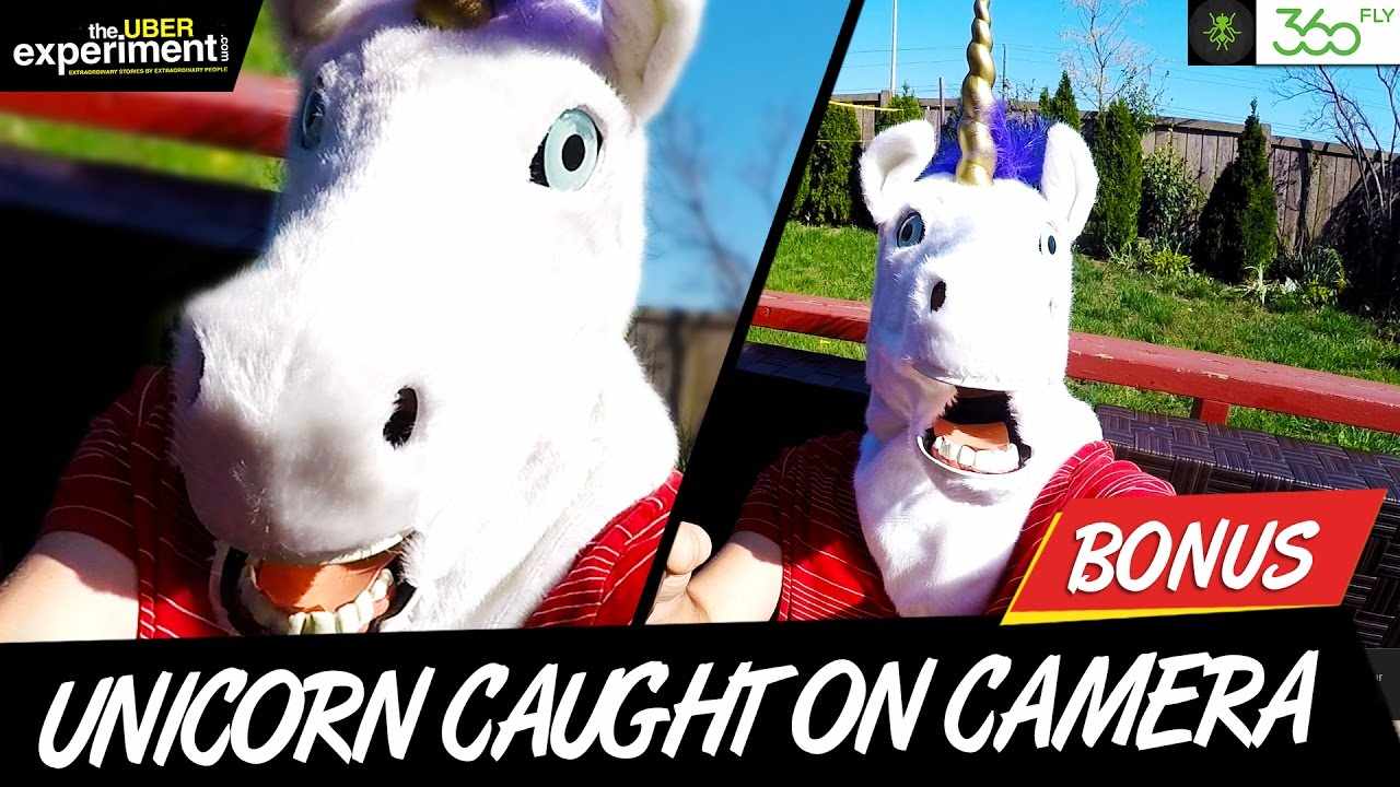 REAL UNICORN CAUGHT ON CAMERA (Funny 360fly Camera Promo - Behind The Uber Experiment)